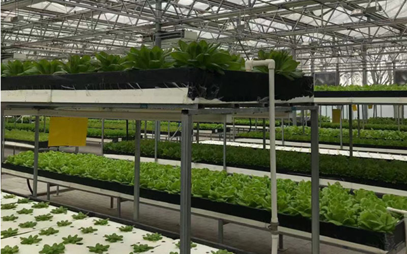 304am�������Ź���(�й�)���޹�˾-Official Website